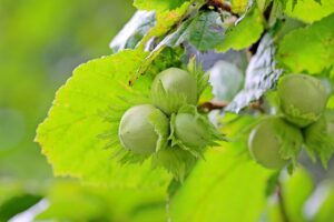 借金が家族にバレない方法は何ですか？