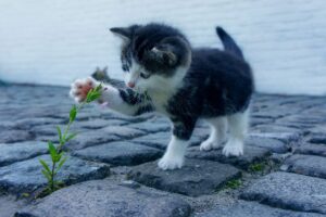 借金が払えないとどうなるのか？