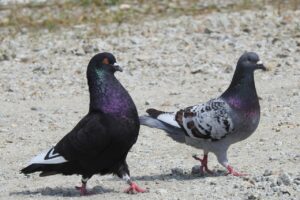 借金返済の依頼はどのように行うべき？